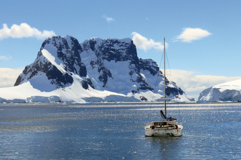 A Dragonfly (Libellule) in Antarctica