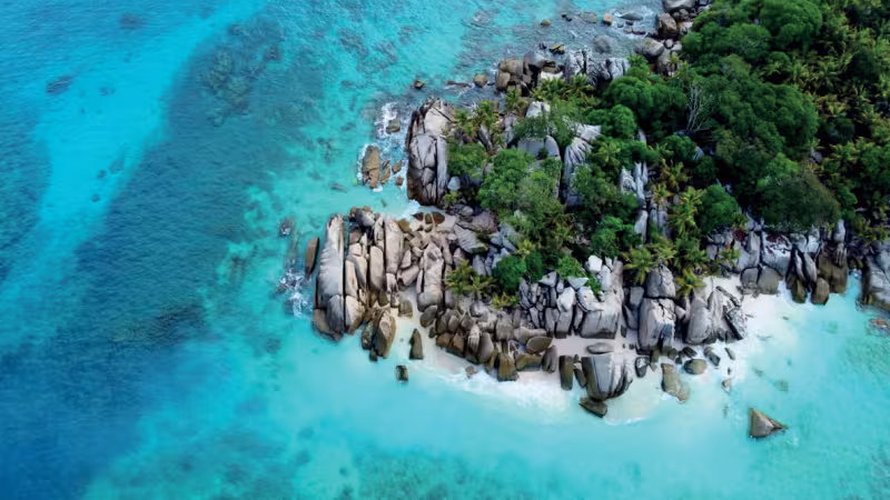 Coco Island, in the Seychelles, looks like a  preserved paradize; and yet, 95% of the deep corals died in less than 10 years. The oceans warming up are the main cause... 